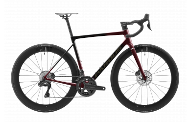 Pardus Robin EVO Disc Shimano Ultegra Di2 / 2023